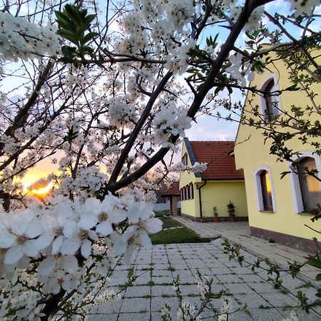 Idylicky Rodinny Penzion Arkadia Pri Dunajskej Cyklotrase Kyselica Exterior photo