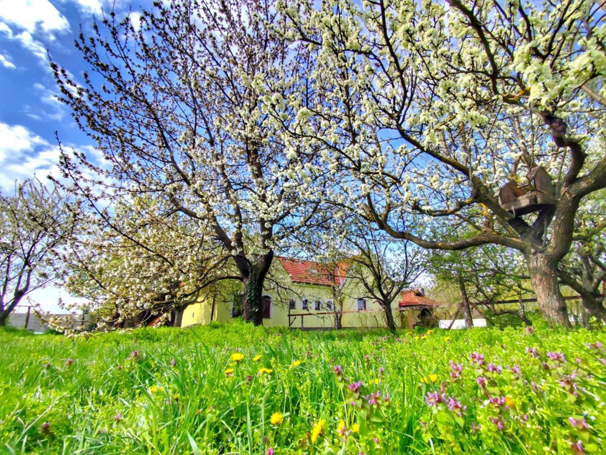 Idylicky Rodinny Penzion Arkadia Pri Dunajskej Cyklotrase Kyselica Exterior photo